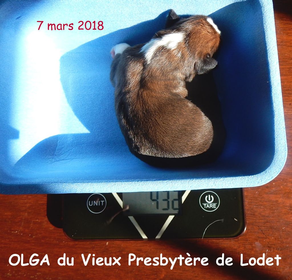 Du Vieux Presbytère De L'Odet - OLGA ... une belle petite fille