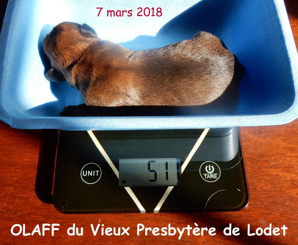 Du Vieux Presbytère De L'Odet - OLAFF ... un beau petit garçon 